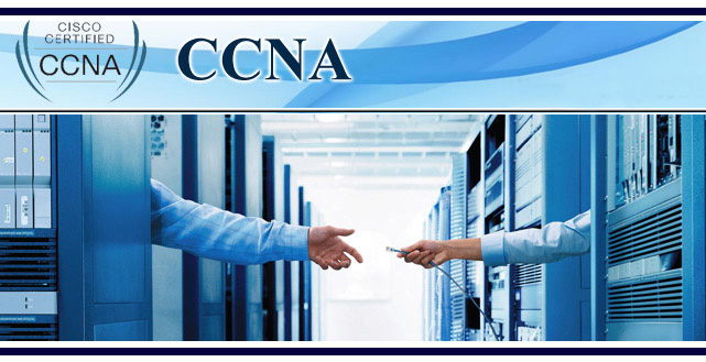 Chứng chỉ CCNA